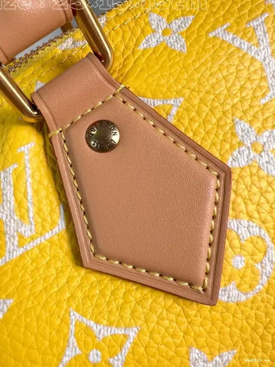 WIS VUITTON Speedy P9  Bandoulière LOUIS 25 0613